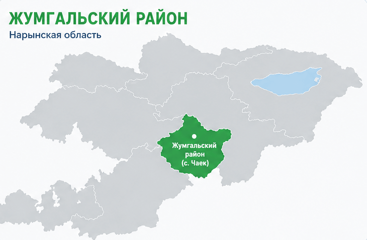 Чаек