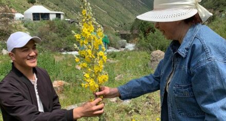 Будущие фармакологи КГМА осваивают лекарственные растения, произрастающие на территории Кыргызстана