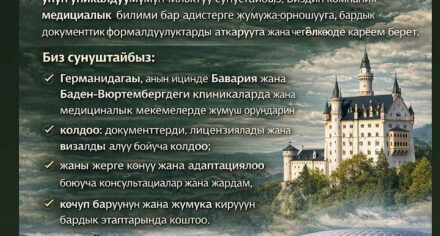 Медайым иш боюнча адистерге маанилүү кабар